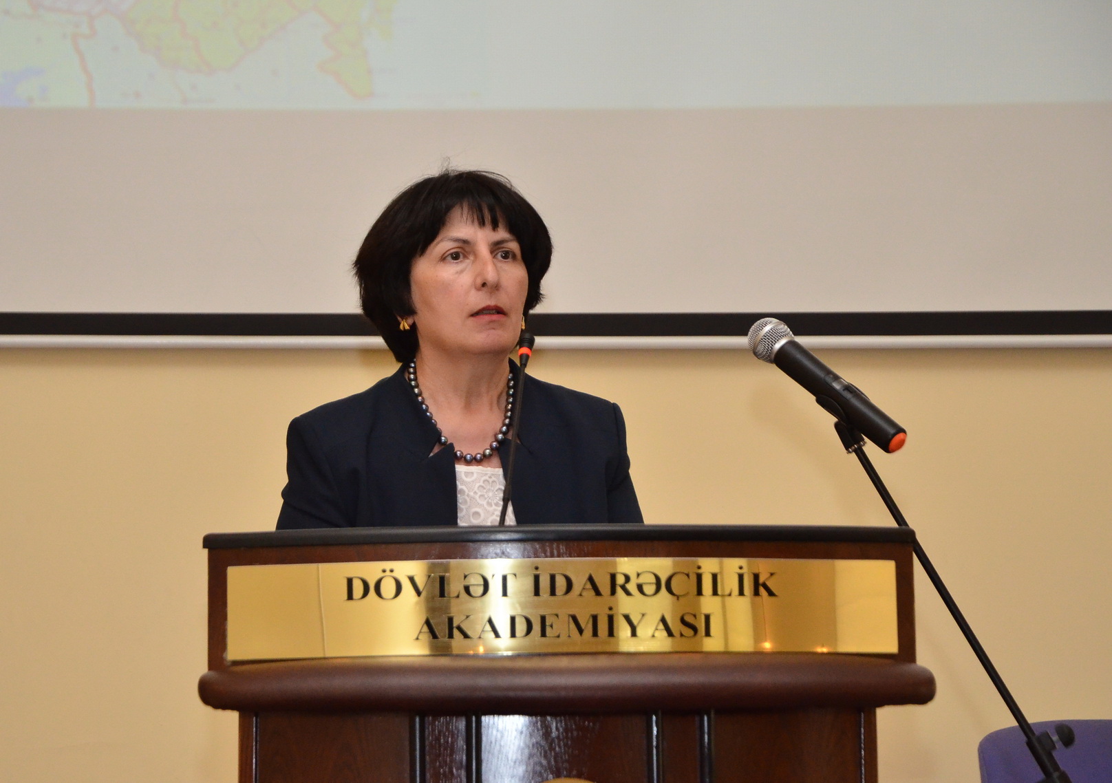 DİA-da Azərbaycanın Müstəqillik günü qeyd edildi