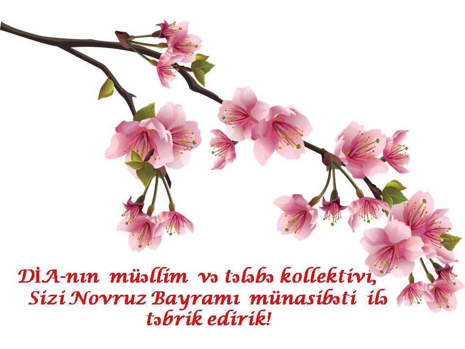 Novruz bayramınız mübarək!