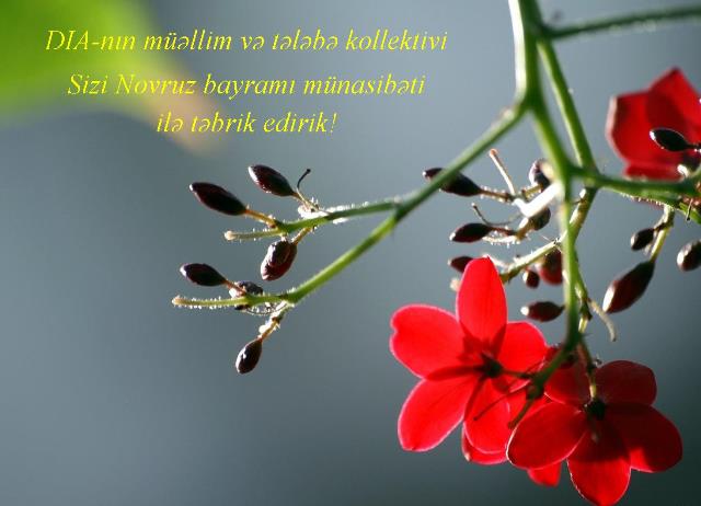 Novruz bayramınız mübarək!